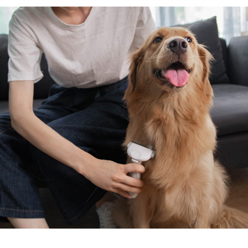 Grooming brush tool being used on dog